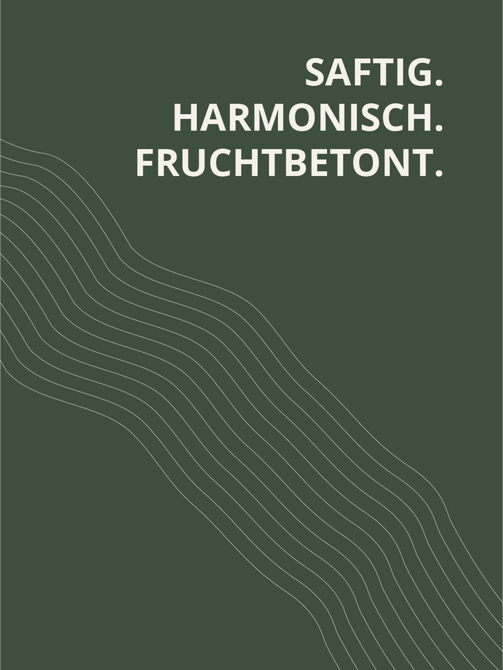 Riesling Sekt Extra Dry – saftig, harmonisch und fruchtbetont