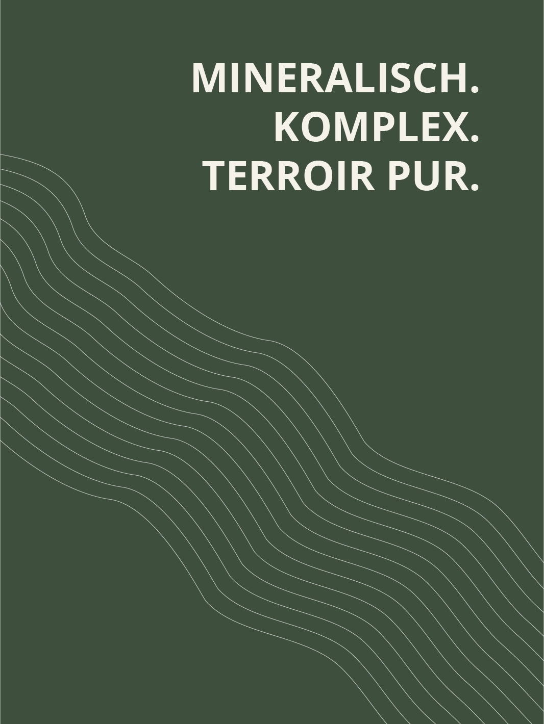 Riesling Septimontium 2023 trocken – mineralisch, komplex und terroir pur