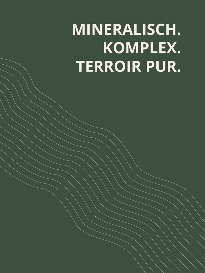 Riesling Septimontium 2023 trocken – mineralisch, komplex und terroir pur