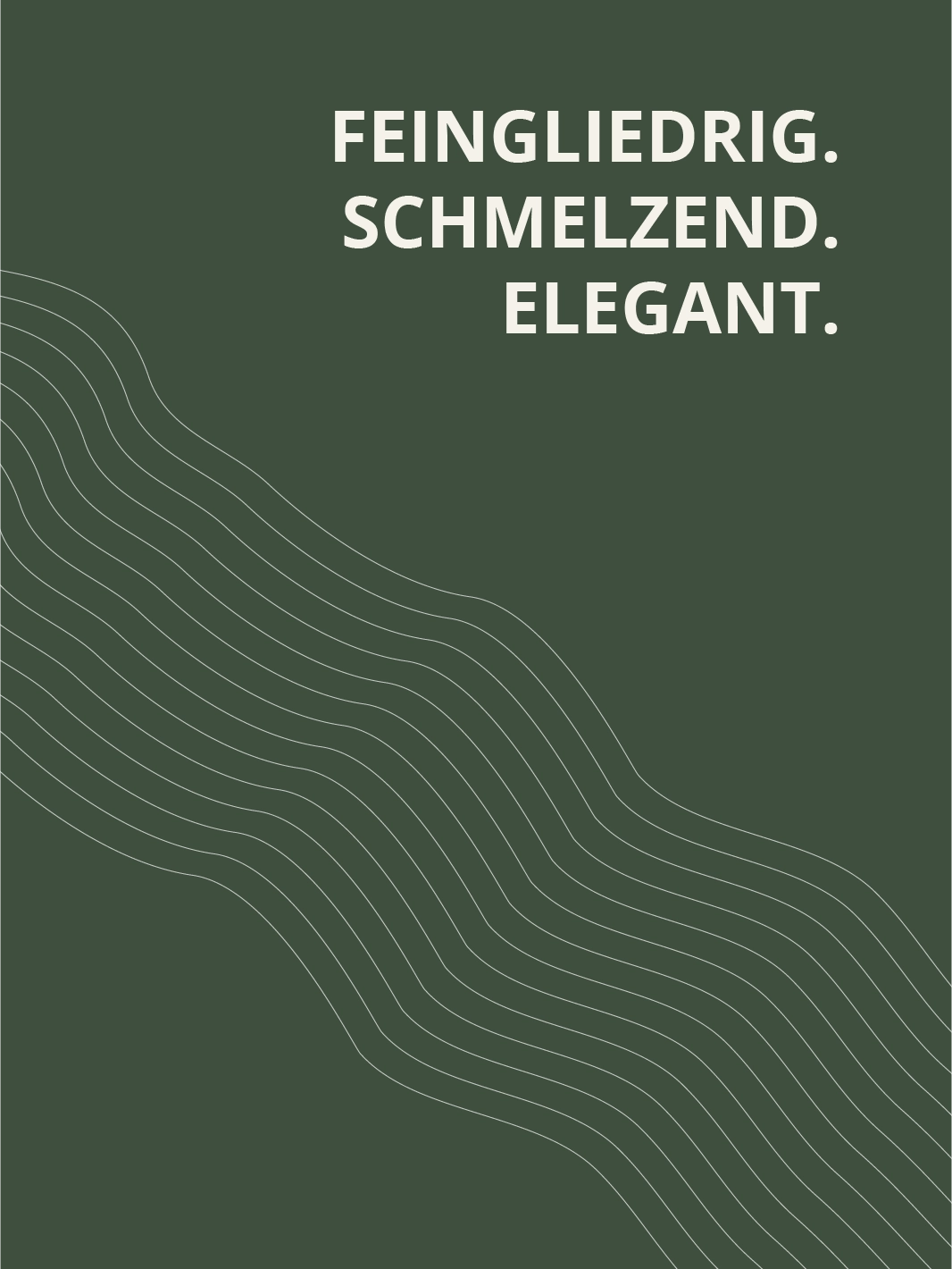 Riesling Steingasse Kabinett 2023 feinfruchtig – feingliedrig, schmelzend und elegant