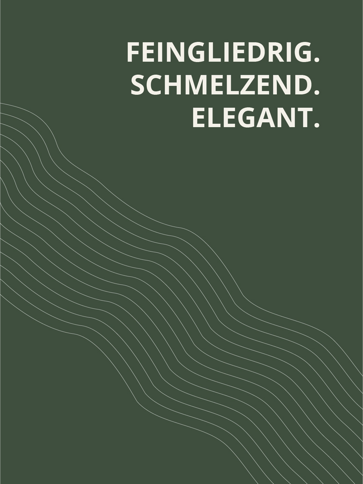 Riesling Steingasse Kabinett 2023 feinfruchtig – feingliedrig, schmelzend und elegant