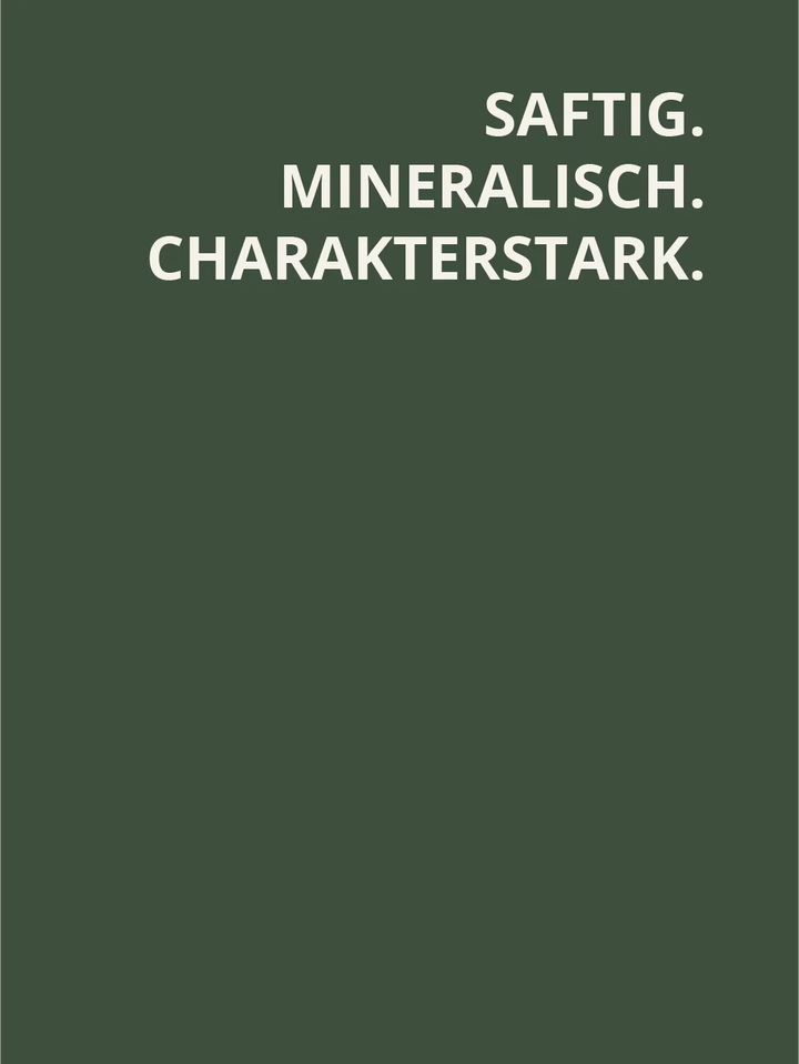 Chardonnay Barrique 2024 trocken – saftig, mineralisch und charakterstark