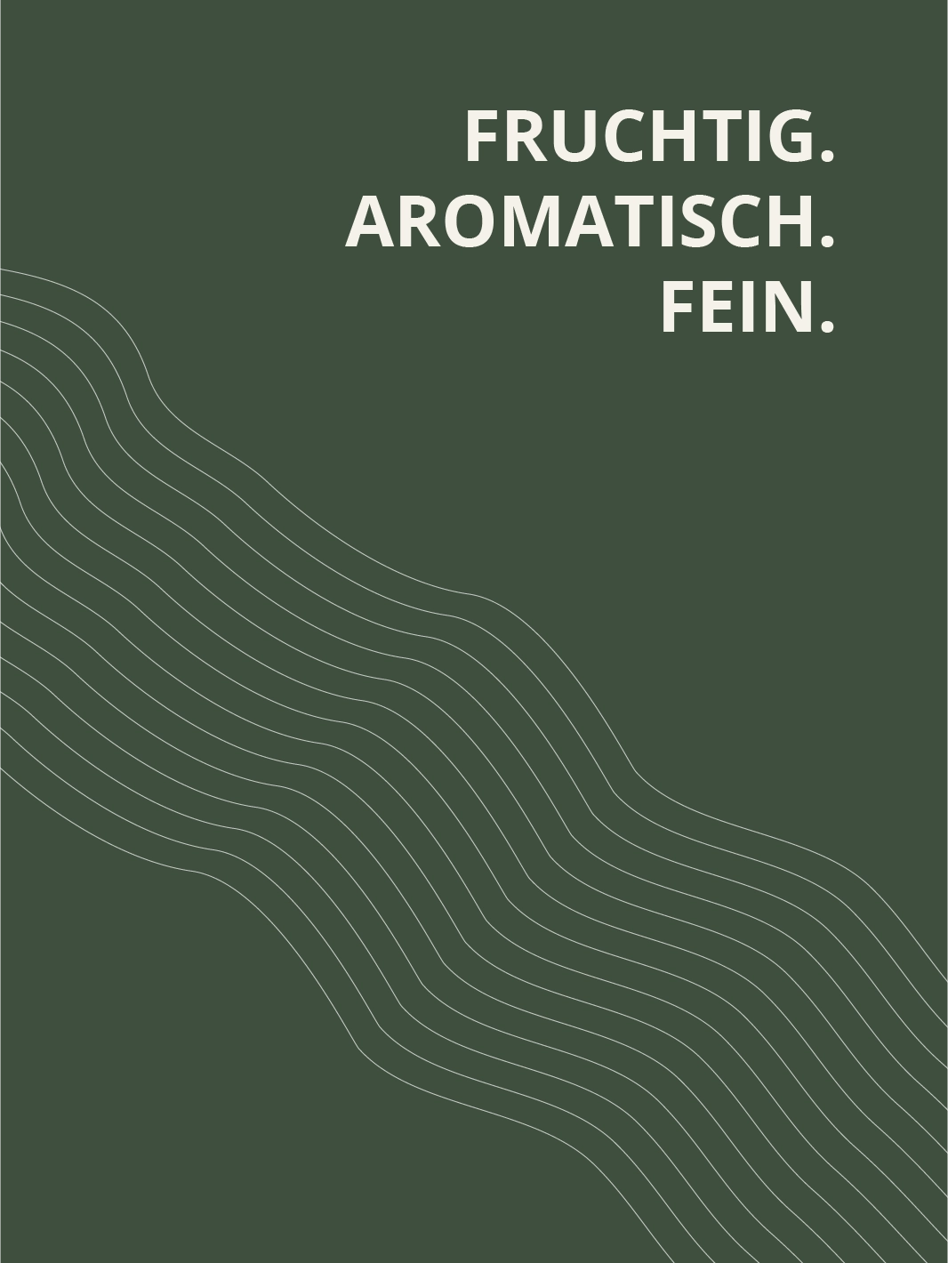 Riesling Drachenlay Kabinett | 2024 | feinfruchtig