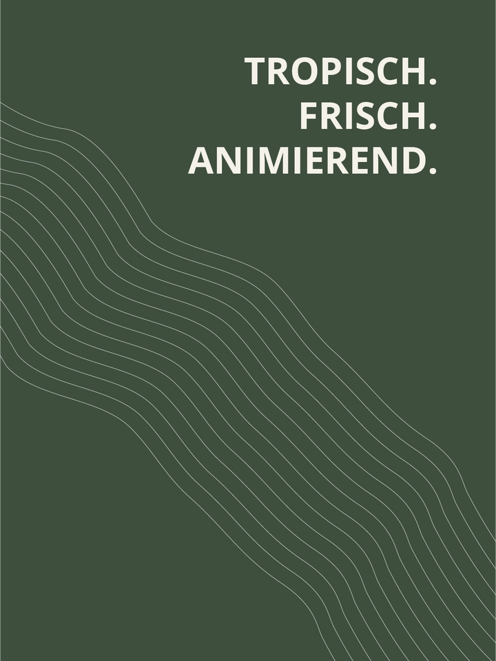 Sauvignon Blanc 2024 trocken – tropisch, frisch und animierend