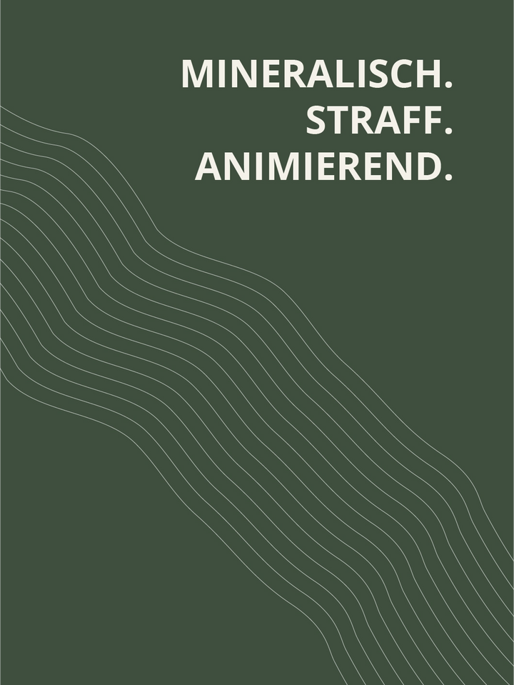 Grüner Veltliner 2024 trocken – mineralisch, straff und animierend