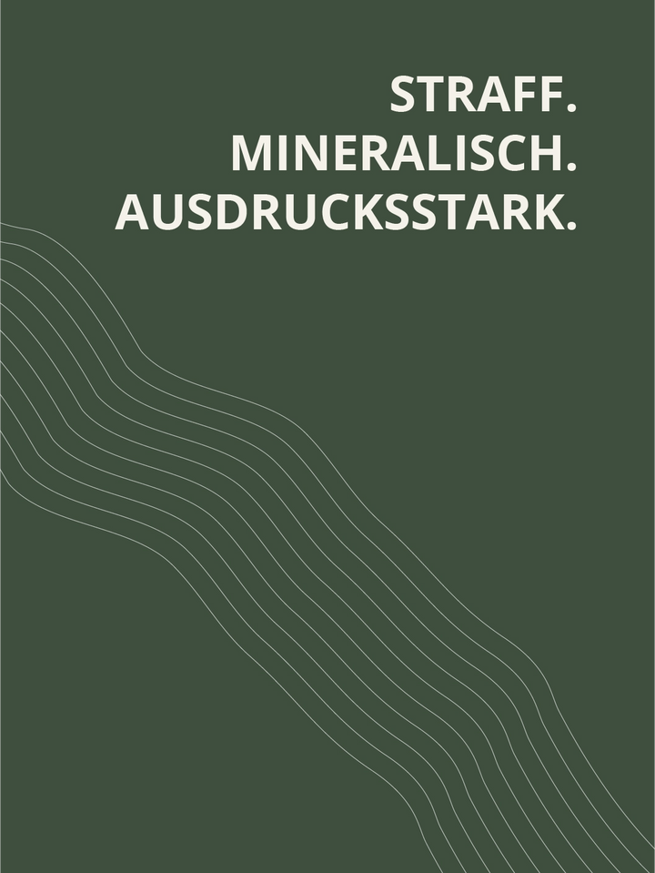 Sauvignon Blanc Fumé 2024 trocken – straff, mineralisch und ausdrucksstark