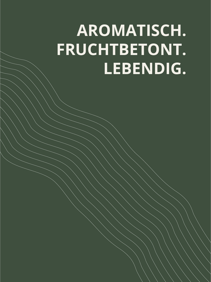 Secco von Drachen und Bergen 2024 feinherb – aromatisch, fruchtbetont und lebendig