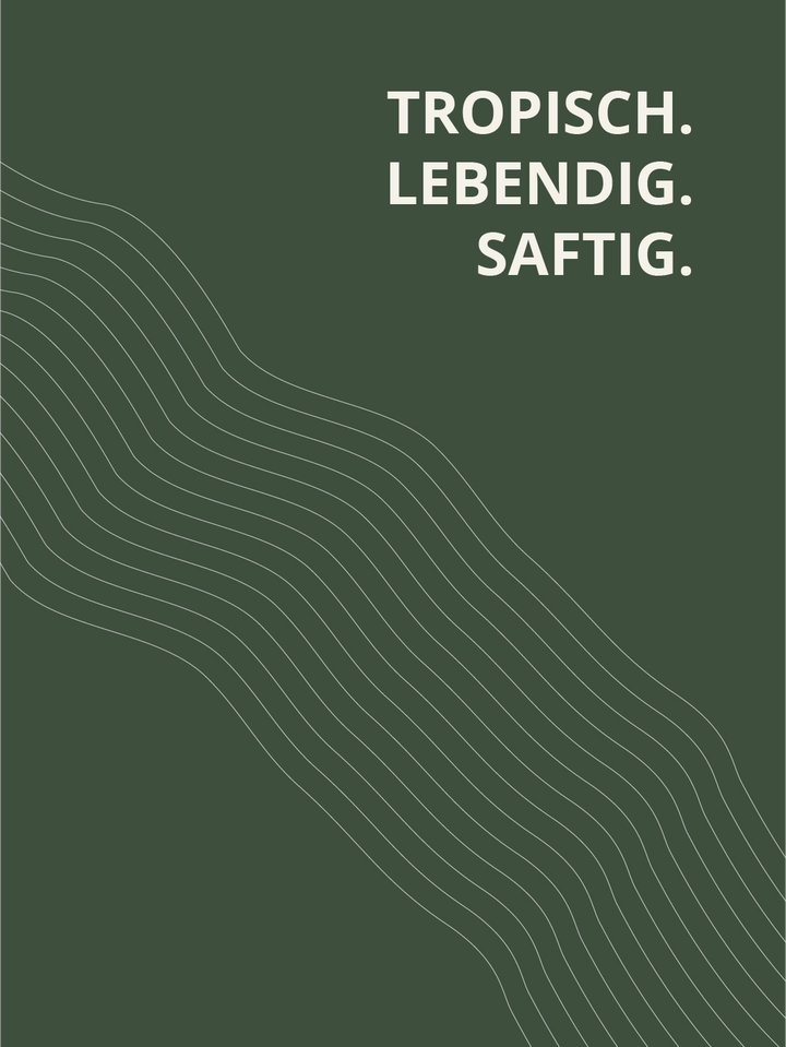 Scheurebe 2025 lieblich – tropisch, lebendig und saftig